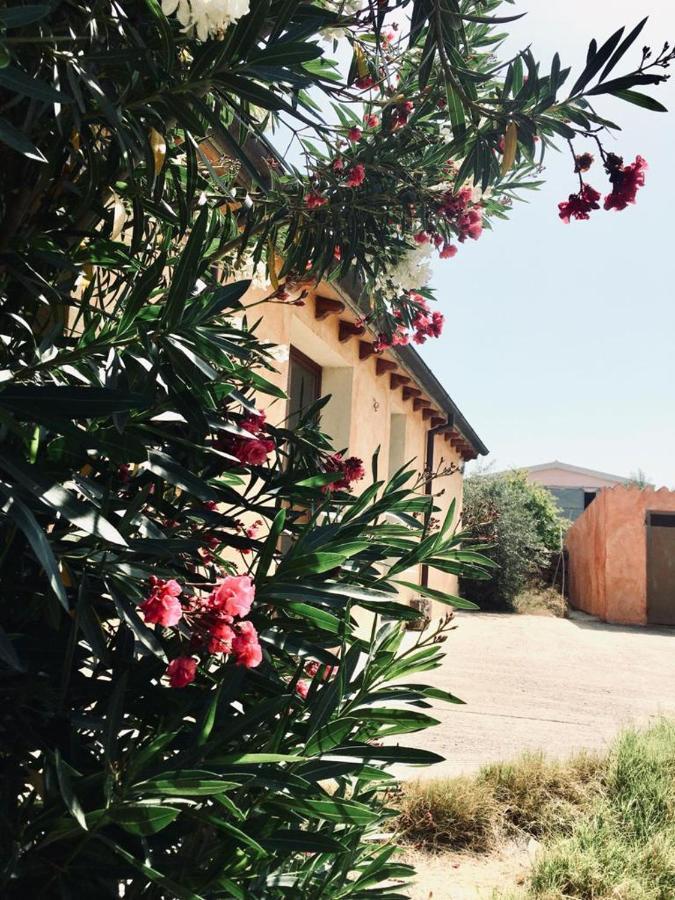 Agriturismo Funtan'Arva Loculi المظهر الخارجي الصورة