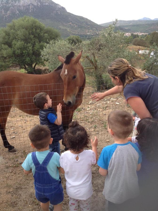 Agriturismo Funtan'Arva Loculi المظهر الخارجي الصورة